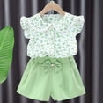 thumbnail image 2 of IFNWSV Girls Summer Outfits 2 Piece Floral Print Short Sleeve Casual Pan Collar Top and Bow Shorts Set Green 0-1 Years, 2 of 6