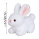 thumbnail image 2 of Juguetes de piscina, juguetes para bebés, juguetes para niños pequeños, conejos de peluche, lindos conejitos blancos, muñecos de peluche, regalos de Pascua para conejos de peluche., 2 of 9