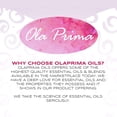 thumbnail image 7 of Ola Prima Peppermint Essential Oil Therapeutic Grade 16 oz for Aromatherapy, Diffuser, Cleaning, Lotions, Creams, Bath Bombs, Scrubs, Candles, 7 of 7