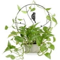 thumbnail image 4 of Plants Climbing Holder Rack Potted Flower Decorative Rack Sturdy Durable Plant Support White 30cm, 4 of 9