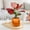 Orange, variant on Naxoaeo Self Watering Plant Pots, 4 Inch Small Plant Pots, Clear Self Watering Planter with Deep Reservoir, Plastic Flower Pots for All House Plants, Flowers, African Violets
