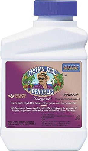 captain jacks dead bug spray captain jacks dead bug spray