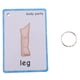 thumbnail image 5 of Juego de tarjetas flash de primeras palabras de 600 piezas, imágenes de aprendizaje educativo y tarjetas de diversión con palabras Macarena tarjetas flash de palabras, 5 of 8