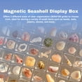 thumbnail image 3 of Magnetic Seashell Storage Box Transparent Acrylic Display Case for Starfish Conch Trinket Small Craft Organizers, 3 of 10