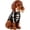 Brown#, variant on Light Up Golden Retriever Mom & Puppy Resin Statue, Weather‑Resistant Halloween Pumpkin Decor, LED Figurine for Porch, Garden, Indoor Outdoor Fall Display