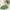 B, variant on Carpet Bath Mat for Bathroom Green Boho Bathroom Rugs Non Slip Cute Leaves Small Bath Rug Soft Absorbent Washable Carpet for Tub Shower Doormat Decor One Size More Area Rug, Floor Carpet in Our Store