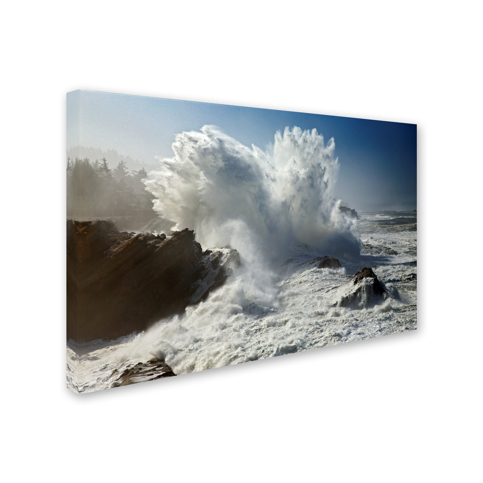 Trademark Fine Art 'Oregon Shore Acres SP Wave' Canvas Art by Mike Jones Photo