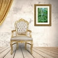thumbnail image 3 of Buhl, Karl 23x32 Gold Ornate Wood Framed with Double Matting Museum Art Print Titled - Caribbean-West Indies-Dominica Island One of Dominicas most popular natural attractions, 3 of 4