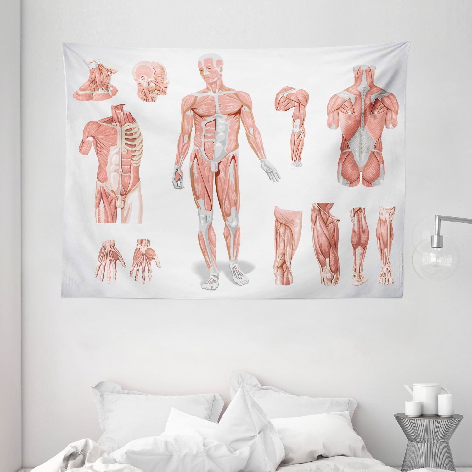 Human Anatomy Tapestry, Inner Muscle System Skin Structure with Cells 