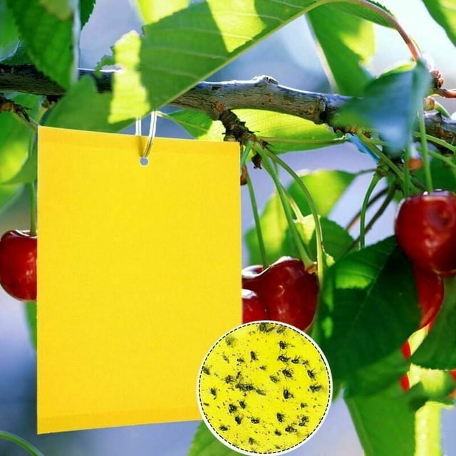 Trampas adhesivas amarillas de doble cara, seguras para áreas de alimentos, herramienta ecológica para el control de plagas