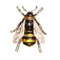 thumbnail image 1 of Regalos, joyas, broches, accesorios de cumpleaños, ropa con broches, 1 of 4