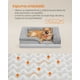 thumbnail image 3 of Cama para Perros, Cama para Mascotas, 71 x 58 x 16 cm, Ortopédica con Espuma Corrugada, Funda Extraíble con Motivo Rosa de Peluche, Bordes Elevados Acolchados, Gris Paloma, 3 of 5