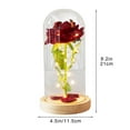 thumbnail image 2 of Cheapark Valentine's Day LED Night Light 3 Rose Glass Lampshade Ornament Battery Operated Soft Glow For Home Holiday Decor, 2 of 6