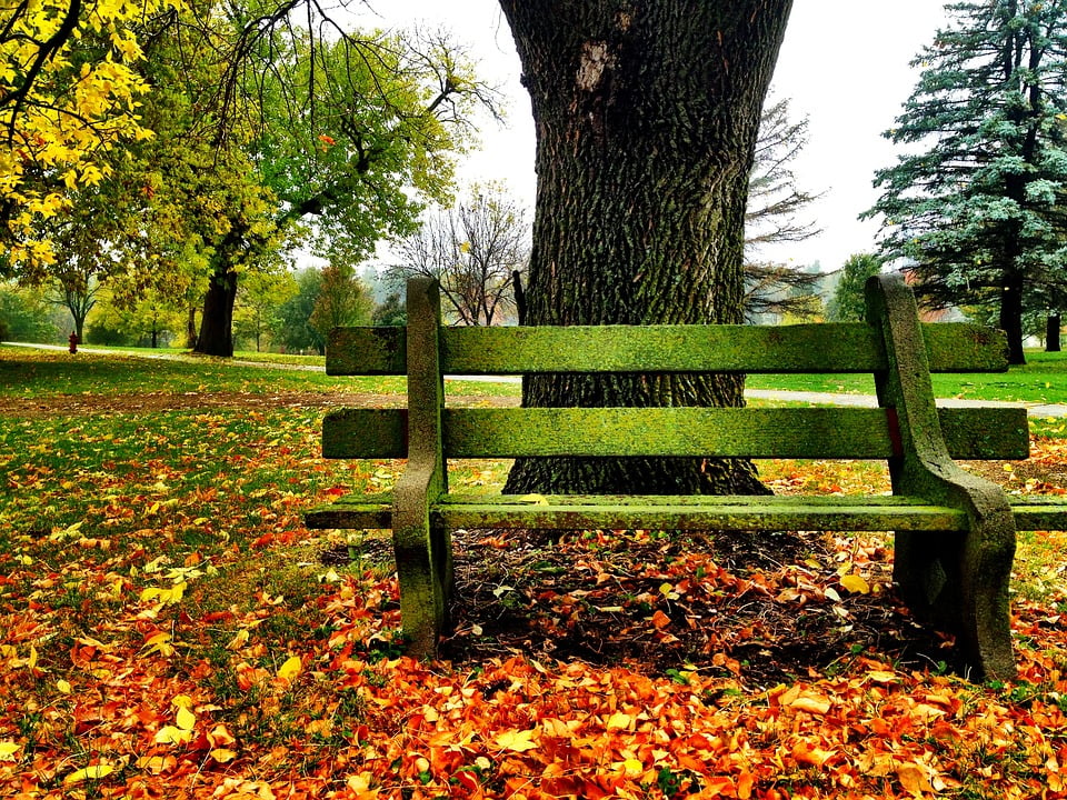 visualpst parkbench visualpst parkbench