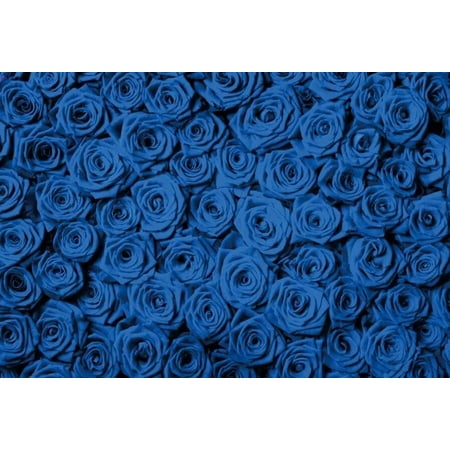 https://i5.walmartimages.com/asr/183170fe-75fd-4e8f-9e98-398758000d21.50bfb1ea1ed338eba2cb76dac3afb0c3.jpeg?odnHeight=450&odnWidth=450&odnBg=ffffff