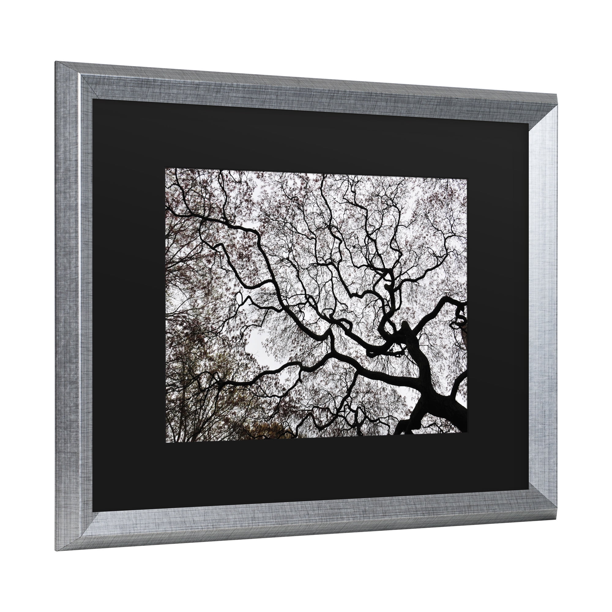 Trademark Fine Art 'Japanese Maple Spring Abstract II' Canvas Art by Kurt Shaffer