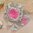 thumbnail image 2 of HCNTES Toddler Baby Girls Sunflower Clothes Set Long Sleeve Top and Pants 2pcs Outfits Fall Clothes(12-18 Months,Grey_l2), 2 of 7
