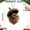 #1, variant on 8 Pcs Assorted 2D Acrylic Woodland Farm Critter Acorn Shell Hanging Ornaments Set,Fall‑Christmas Wildlife Decor for Mantel Wreath Cabin Farm‑Cottage Indoor Home
