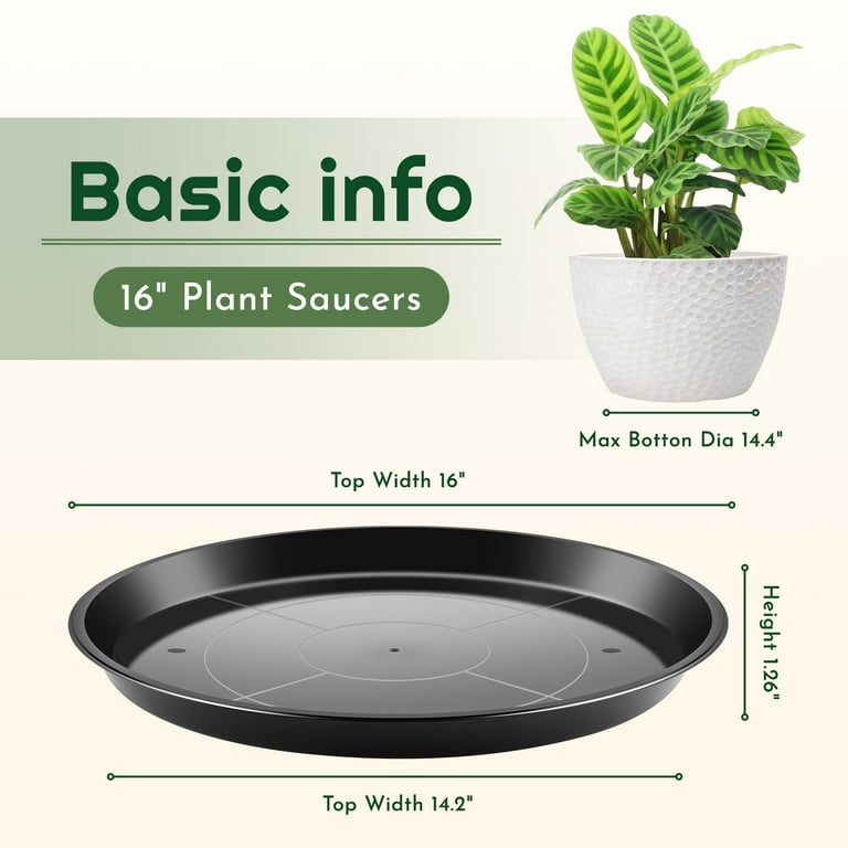 transparent plant pot ABOUT SPACE Self Watering Pot