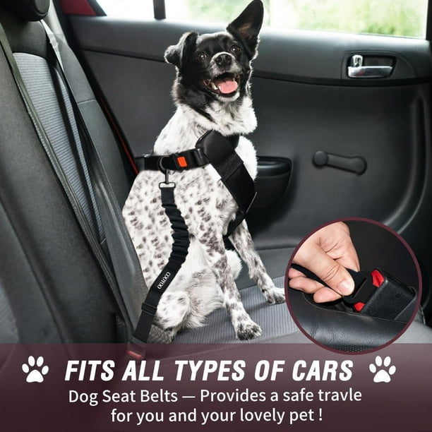 Dog car safety seat belt best sale