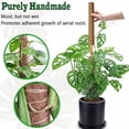 thumbnail image 3 of 2 Pack 17 Inch Moss Pole, Stackable Moss Poles for Climbing Plants Monstera, Tall Plant Sticks Accessories, Large Coir Plant Support Stakes for Potted Plants Indoor, Pothos, Philodendron, 3 of 7