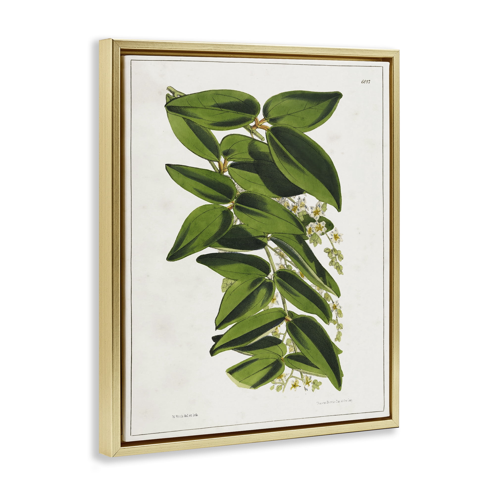 Stupell Industries Stacked Leaves Botanical Plants & Flowers Painting Gold Floater Framed Canvas Art Print Wall Art, 25 x 31