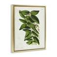 thumbnail image 4 of Stupell Industries Stacked Leaves Botanical Plants & Flowers Painting Gold Floater Framed Canvas Art Print Wall Art, 25 x 31, 4 of 10
