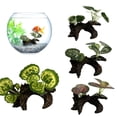 thumbnail image 3 of PFDDRW Artificial Turtle Tree Trunk Driftwood Aquarium Fish Tank Reptile Cylinder *, 3 of 8