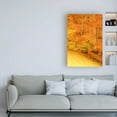 thumbnail image 3 of Trademark Fine Art 'Yellow Foliage Autumn' Canvas Art by Dan Ballard, 3 of 3