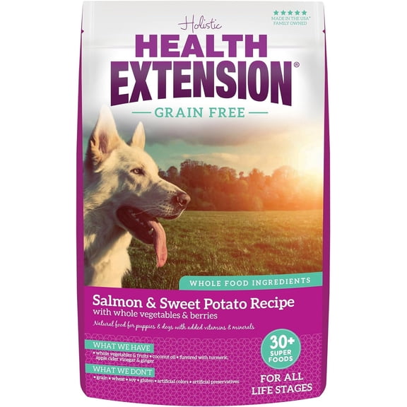Health Extension Dry Dog Food Salmon & Sweet Potato Recipe Whole Vegetable & Berries(4 lb)| All Life Stages | Vitamins & Minerals | Sensitive Stomach