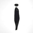 thumbnail image 1 of Malaysian Silky Straight Hair Extensions, 1 of 1
