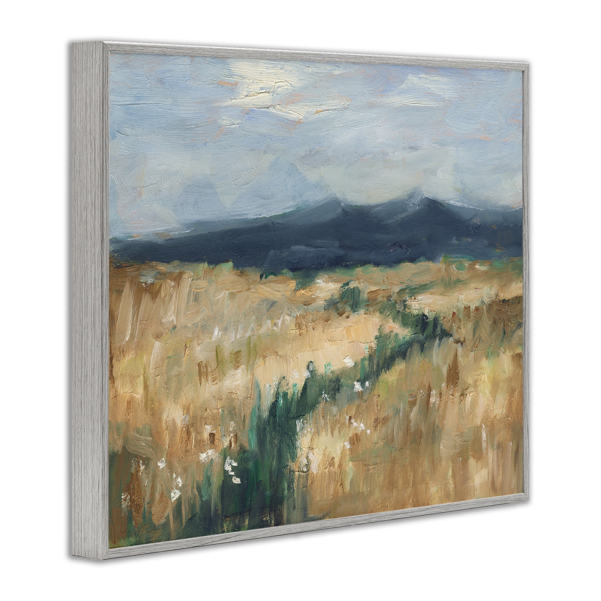 Stupell Industries Mountainous Trail Landscape Landscape Painting Gray Framed Art Print Wall Art, 20 x 16