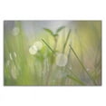 thumbnail image 3 of 27" x 18" Morning Light No. 1 by Ulpi Gonzalez - Print on Canvas Fabric White, 3 of 3