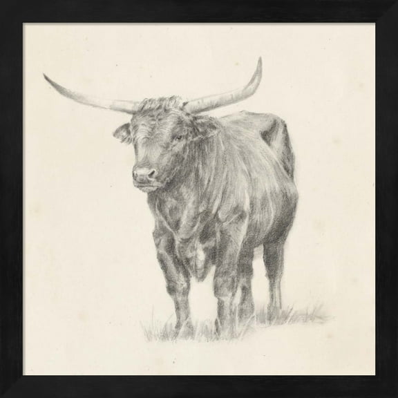 Longhorn Steer Sketch I by Ethan Harper, Framed Wall Art, 13.25W x 13.25H