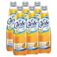 thumbnail image 2 of Pack de 12 Licor Caribe Cooler Mango Piña 300 ml, 2 of 3