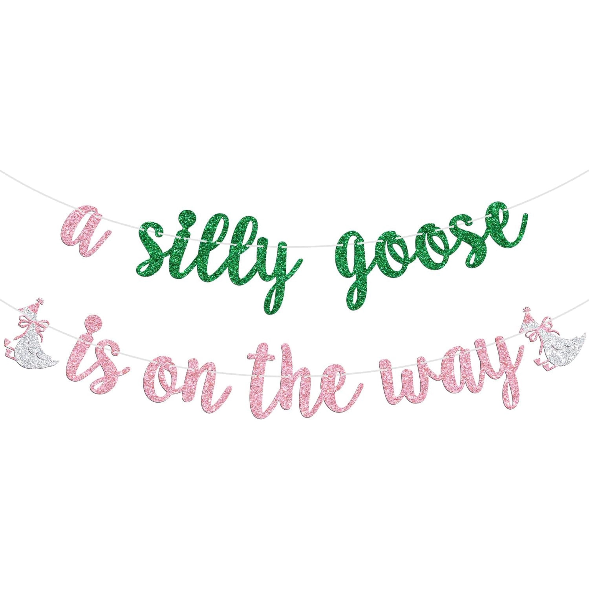 A Silly Goose is on the Way Banner, Silly Goose Baby Shower Party Decor, Farm Animal Theme Baby’s 1st Birthday Baby Shower Gender Reveal Party Decorations Supplies