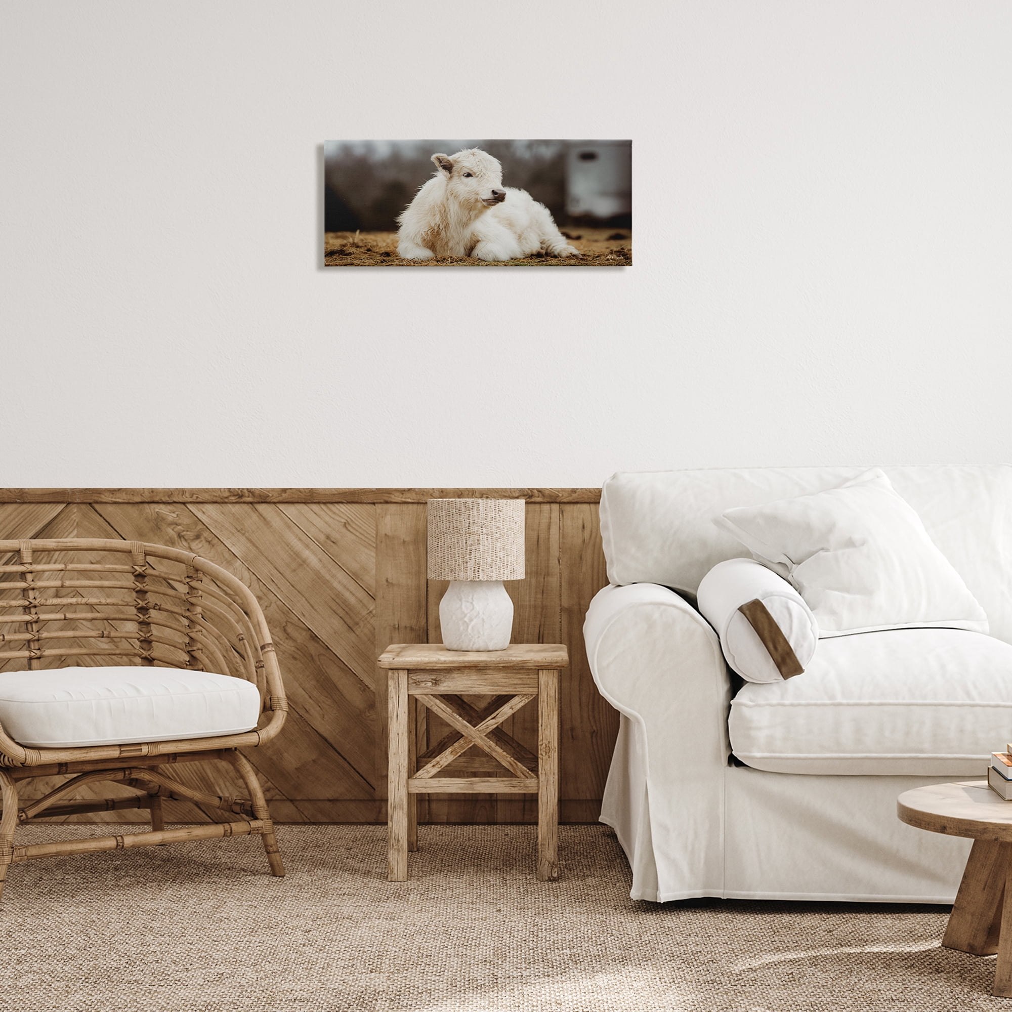 Stupell Industries Baby White Cattle Animals & Insects Photography Gallery Wrapped Canvas Art Print Wall Art, 24 x 10