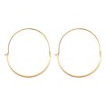 thumbnail image 1 of Boucles d'Oreilles Mode pour Femmes Design Cœur en Acier Inoxydable avec Style Pendant, 1 of 6