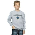 thumbnail image 2 of Harry Potter Boys Ravenclaw Crest Sweatshirt, 2 of 3