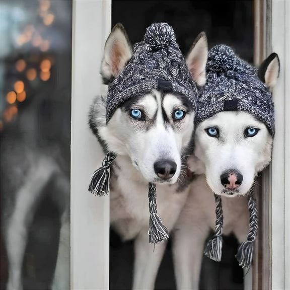 TELOLY Winter Soft Dog Hats, Warm Pet Dog Knitted Hat, Windproof Knitting French Hat for Small Medium Dogs