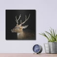 thumbnail image 4 of Luxe Metal Art 'Sika Deer' by Epic Portfolio Metal Wall Art, 12"x12", 4 of 9