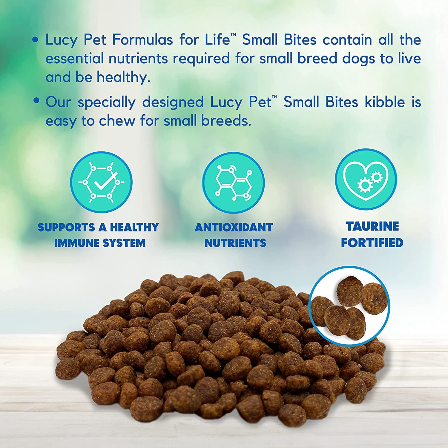 Lucy Pet Products Grain-Free Small Bites Small Breed Dry Dog Food, Salmon, Pumpkin & Quinoa, 1 Each/4.5 lb