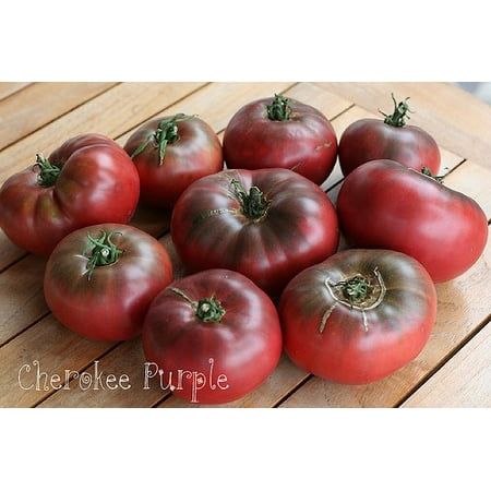 Tomato Print Cherokee Purple Tomato Plant - Non-GMO - Two (2) Live Plants - Not Seeds - Each 4