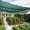 70% SHADE-GREEN, variant on 85-95% Sun Shade Cloth, 20 x 48 FT Green HDPE Mesh – Breathable Garden Shade Cover for Plants, Vegetables, Greenhouse, Patio, Chicken Coop & Dog Kennel