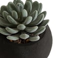 thumbnail image 3 of DesignOvation 4"H Tabletop Artificial Succulent in Black Textured Cement Pot, 3 of 8