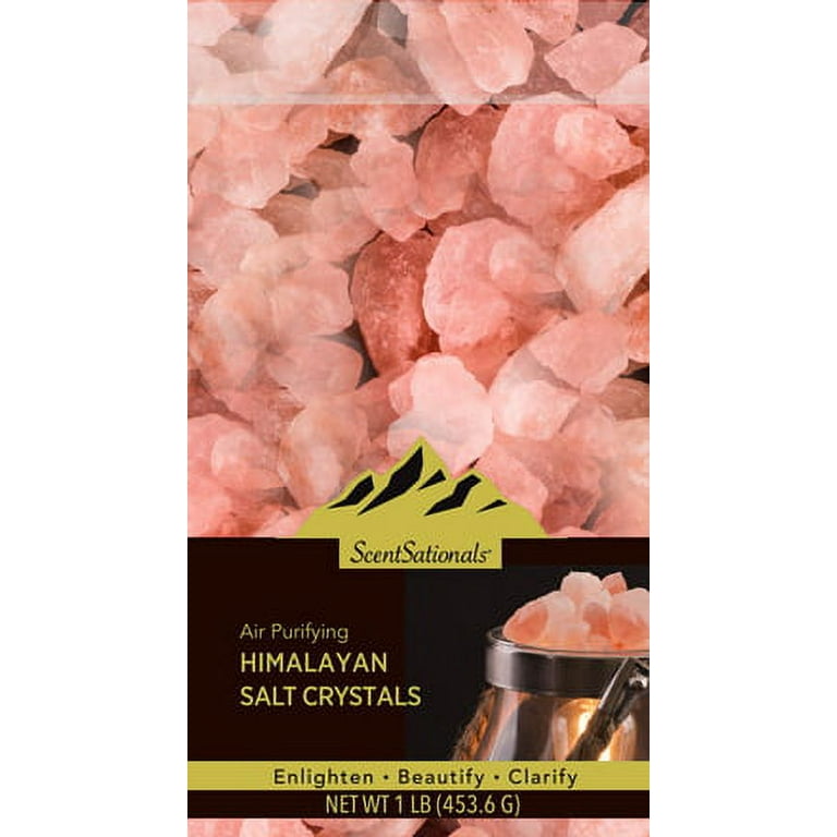 Himalayan Salt Wax Warmers