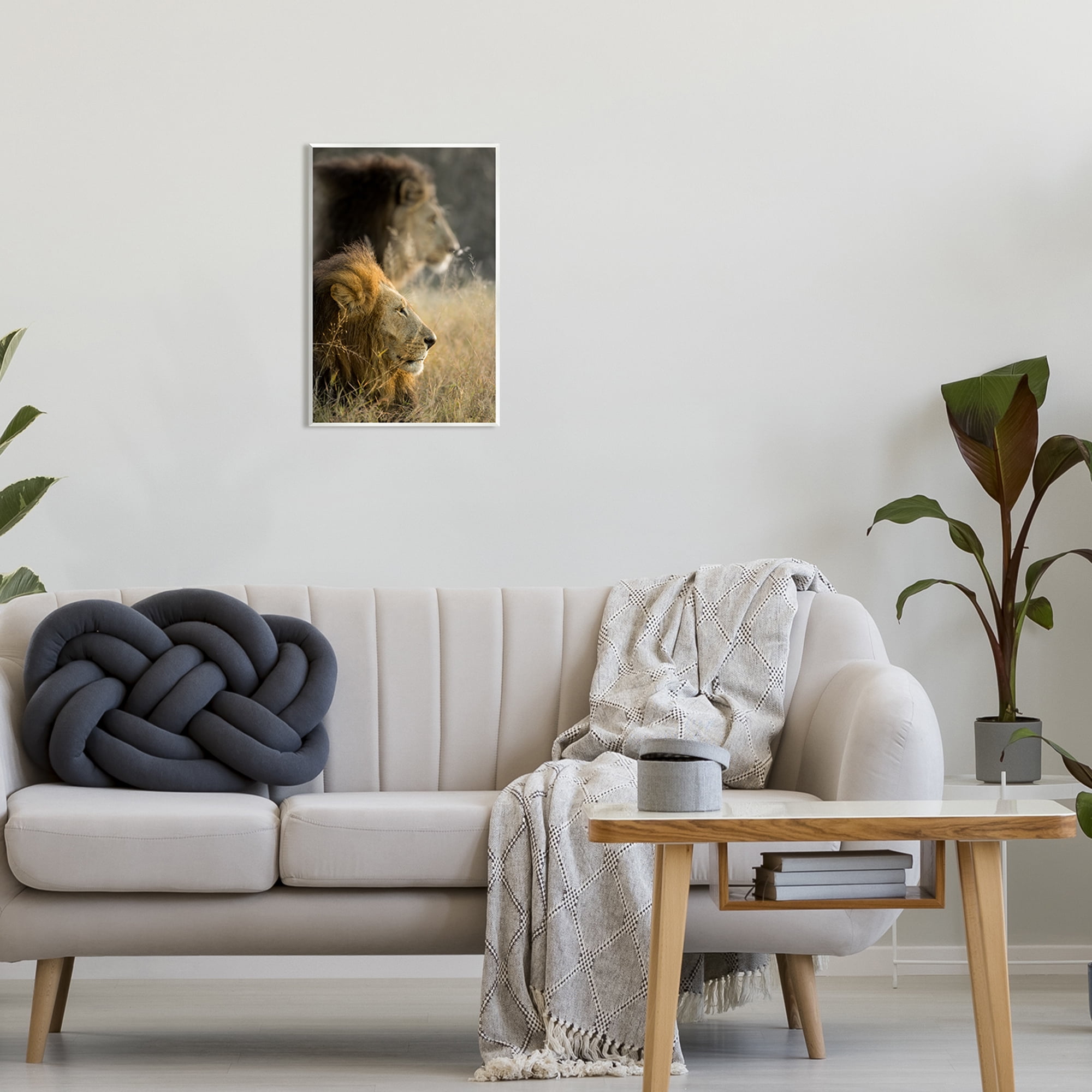 Stupell Industries Lions Lounging Savanna Photography Animals & Insects Photography Unframed Art Print Wall Art