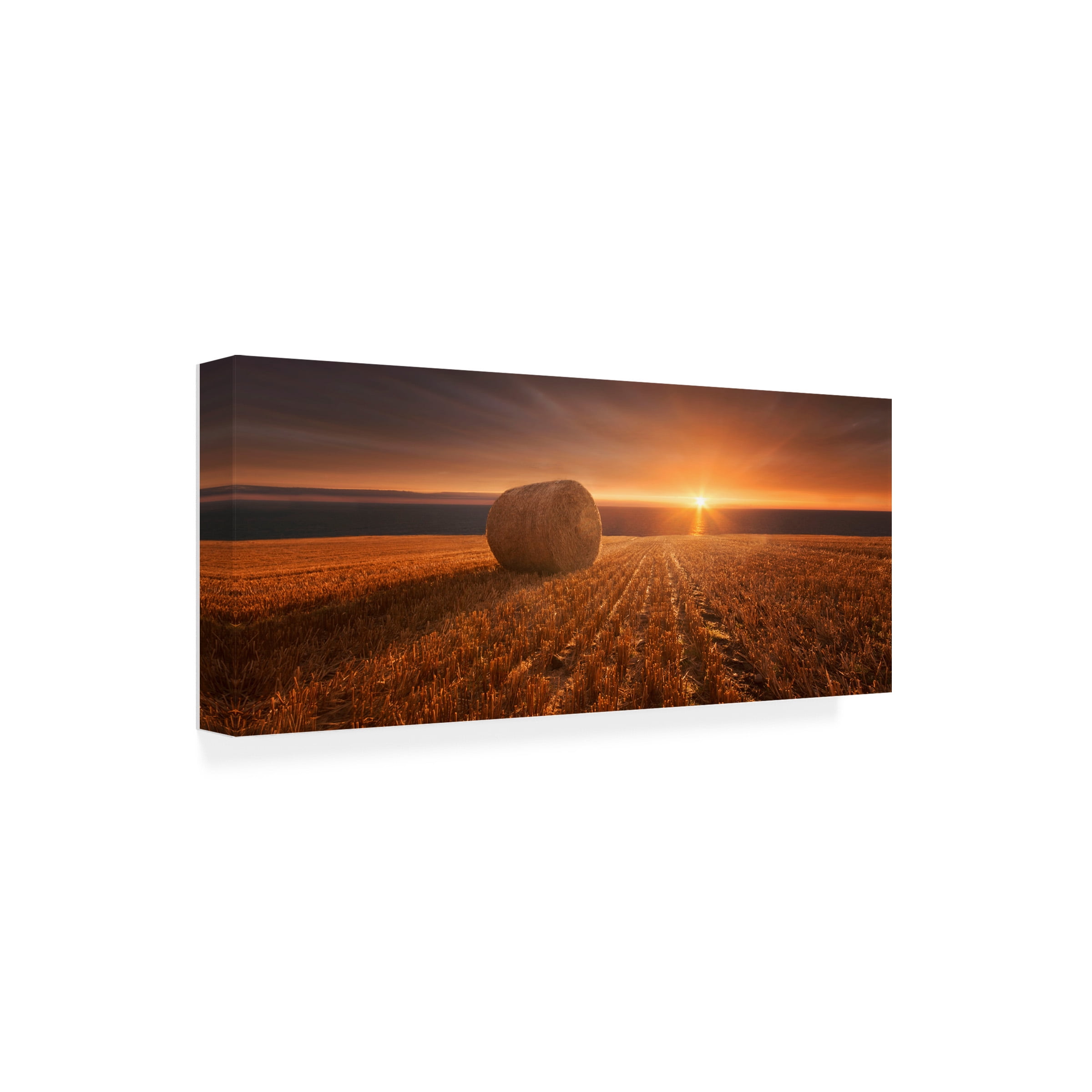 Marcin Krakowski 'Gold Harvest' Canvas Art