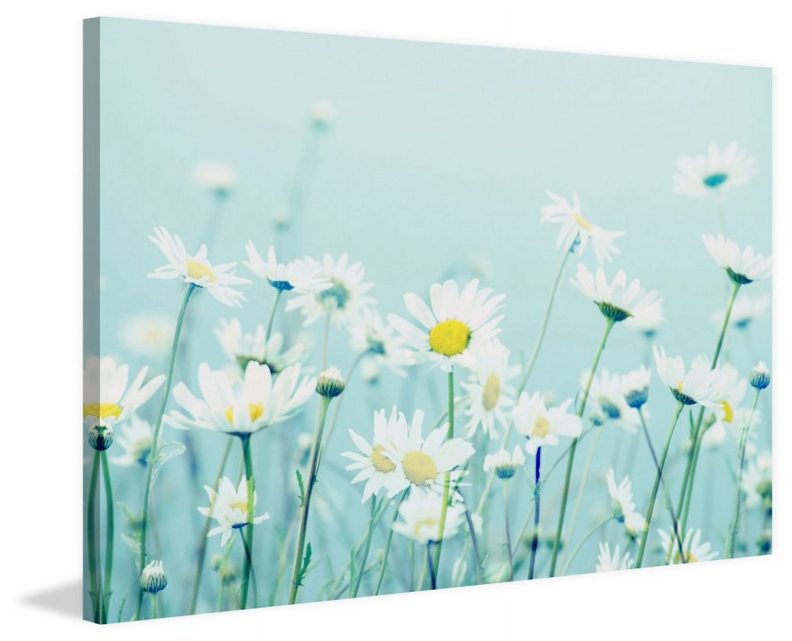 Marmont Hill "Dancing Daisies" by Robert Dickinson Painting Print on Canvas