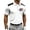 X007-White, variant on Shirts for Men the United States Short-Sleeve Patriotic Polo Shirt Casual 250 Year American Anniversary Shirt White M